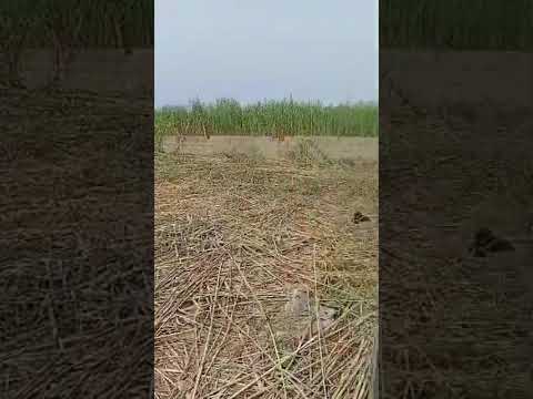 659.492sqm Fenced Land for Sale at First Unity Estate, Ajah
