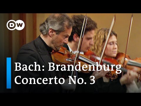 Bach: Brandenburg Concerto No. 3 | Claudio Abbado & the Orchestra Mozart