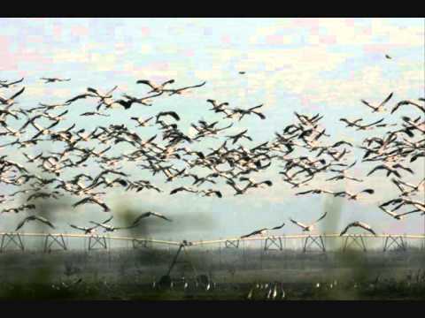 Ketil Bjørnstad & David Darling   The River II