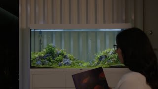 Aquatlantis VOLGA 180 Antracit