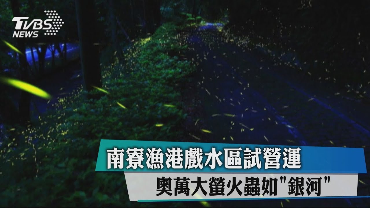 南寮漁港戲水區試營運　奧萬大螢火蟲如「銀河」