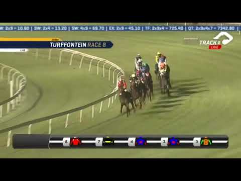 2020.02.12 Gauteng Guineas (RSA) - Ikigai