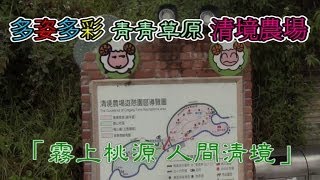 preview picture of video '多姿多彩 青青草原 清境農場——「霧上桃源 人間清境」'