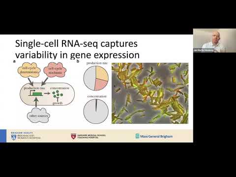 STAT115 Chapter 19.1 Intro to scRNA seq