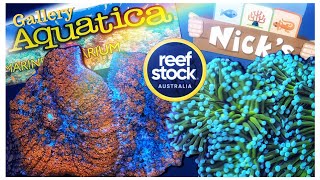 We Visit @GalleryAquaticaTV  & @nicksaquariumreptiletv1378 |ReefStock Australia Preview