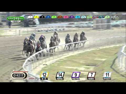 KRA Cup Mile 2013 Sting Ray