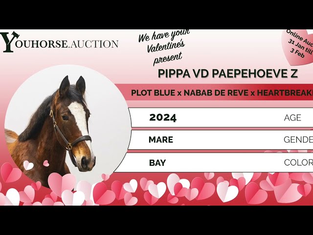 Pippa vd Paepehoeve Z