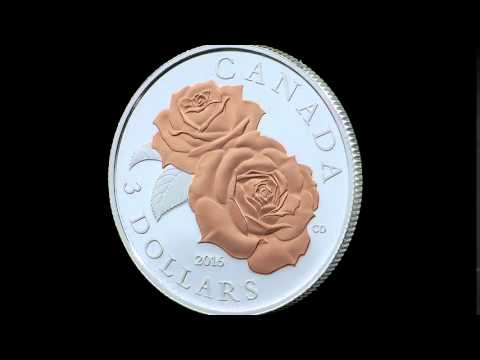 Pure Silver Coin with Selective Rose Gold Plating – Queen Elizabeth Rose