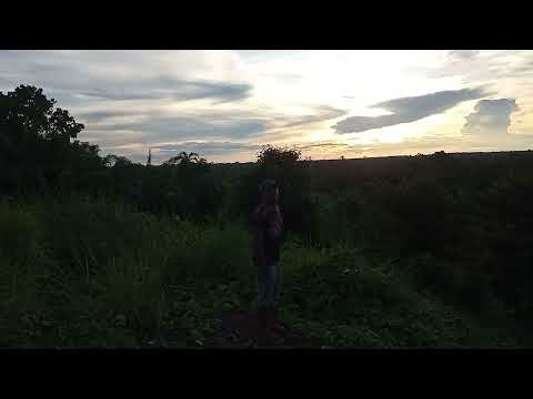 Sítio do Carlão próximo a fazenda do Albano ém Pauini Amazonas 