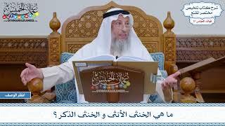 1620 - ما هي الخنثى الأنثى و الخنثى الذكر؟ - عثمان الخميس