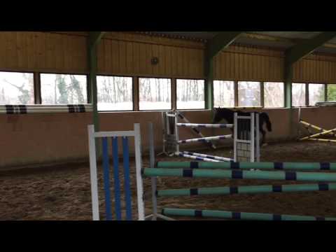 4y Cloney x stolzenberg