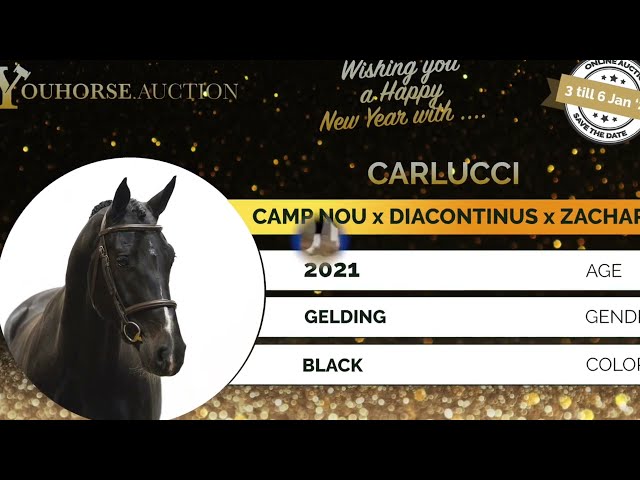 Carlucci homevideo