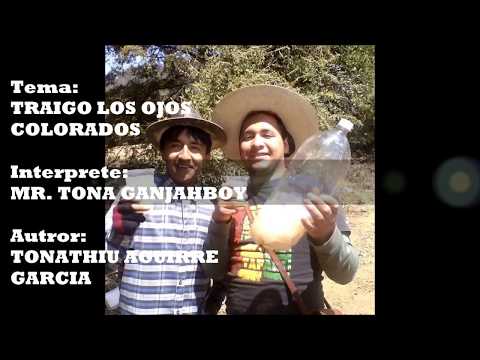 TRAIGO LOS OJOS COLORADOS  -  MR  TONA GANJAHBOY