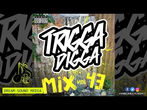 Trigga Happy Sound - Trigga Digga Mix Vol. 43