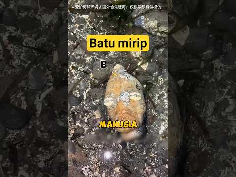 Jangan heran Anomali di Pantai😅😧