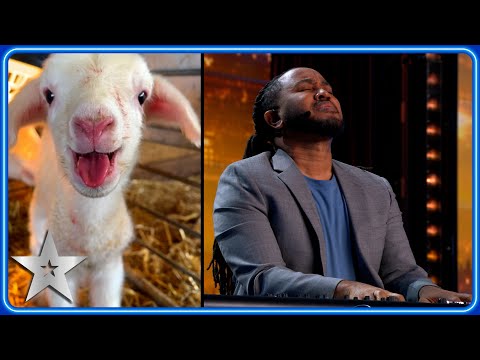Simon Cowell's DOGS perform in Kevon Carter's HILARIOUS audition | Auditions | BGT 2024