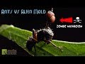 Ants Vs Alien Mold