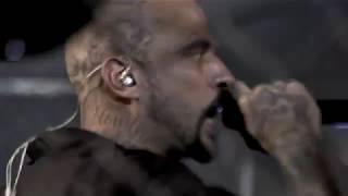 Cartel de Santa   Perros En Vivo