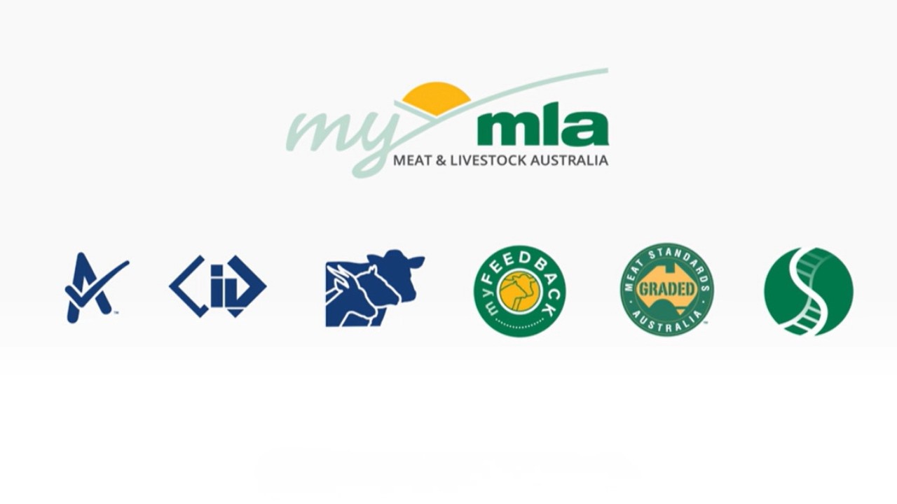 Why use myMLA