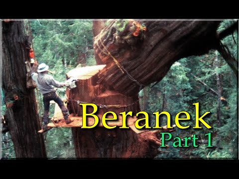 download lagu mp3 mp4 Beranek, download lagu Beranek gratis, unduh video klip Beranek
