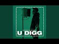 U DIGG