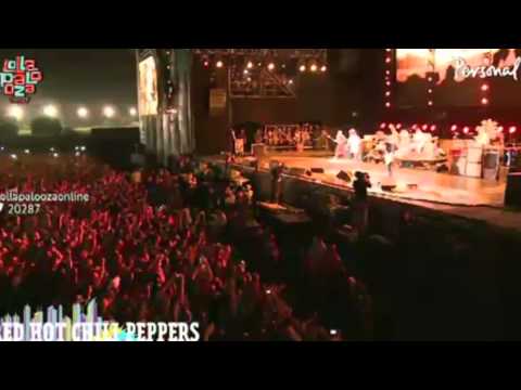 Red Hot Chili Peppers - Snow (Hey Oh) - Lollapalooza Argentina 2014