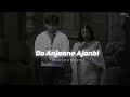 Do Anjaane Ajnabi Slowed Reverb Vivah Udit Narayan Shreya Ghoshal Nostalgic