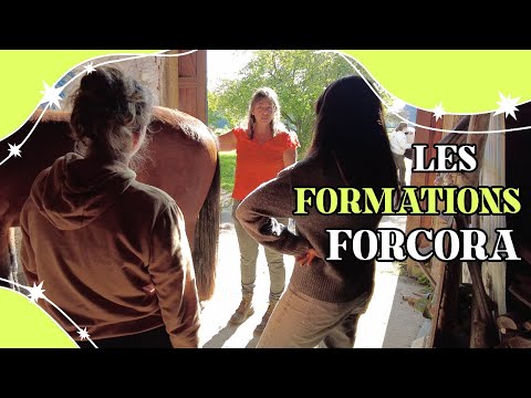 Les formations FORCORA avec Natacha Schlusselhuber