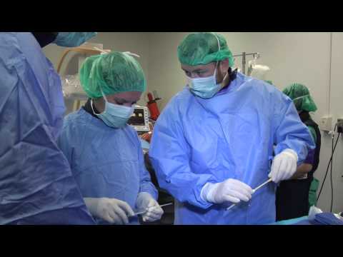 Advanced Treatment in Veterinary Medicine at Tennessee: Interventional Radiology