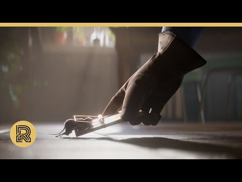 CGI VFX & Animation Breakdown: "Létal Morbier" by ESMA | The Rookies