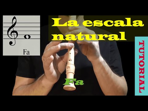 Cómo tocar todas las notas en la flauta dulce - La escala natural