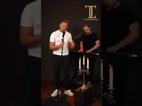 Toni Leskovar - Ti Mene Ne Volis (Cover) [2024]