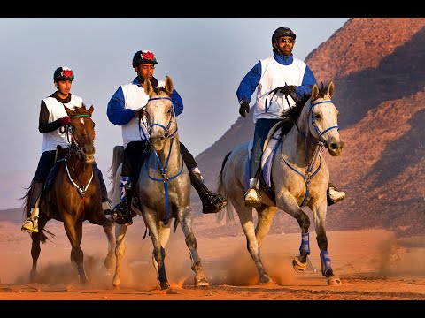 THE TOUGHEST HORSE RACE •  THE UAE ENDURANCE CUP RACE