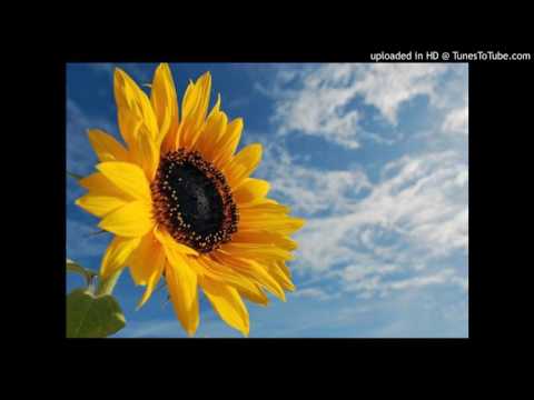 2017_Katiki  nanoia aomata nikabane.