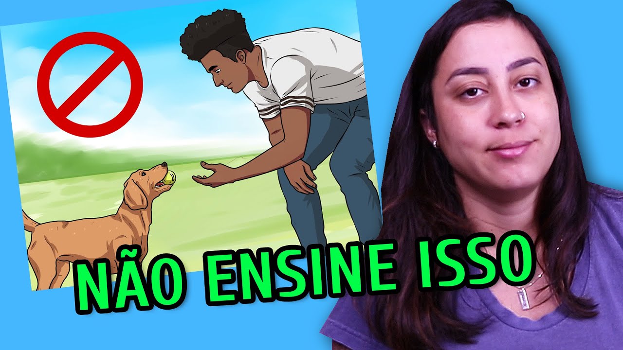 COISAS QUE VOCÊ NUNCA DEVE ENSINAR AO SEU CACHORRO