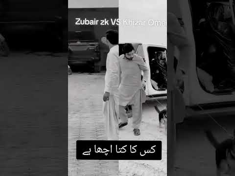 khizar Omer dog or Zubair zK dog #shortvideos #comedy #trending #viralvideo #automobile