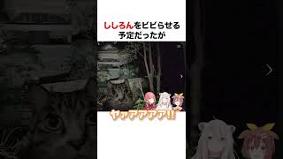 獅白ぼたんはビビらない【ホロライブ】#shorts