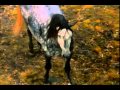 The Silver Brumby The Silver Stallion Brolga Tribute