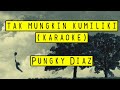 Pungky Diaz Andromeda Tak Mungkin Kumiliki Karaoke