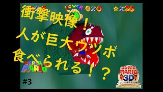 衝撃映像！マリオ、巨大ウツボに食べられる！＃３【スーパーマリオ６４】