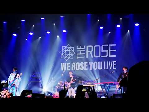 191114 The Rose (더 로즈) - She's in the Rain in Amsterdam