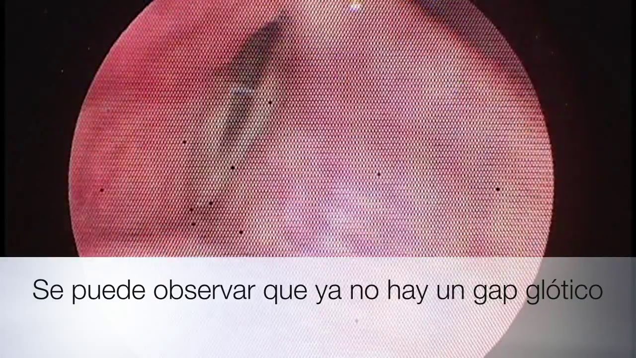 Joaquín Archibaldo Hope Guerrero-13