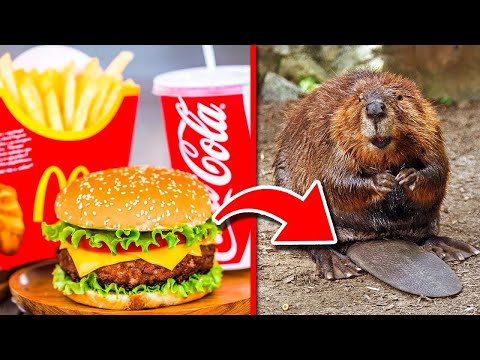 10 Unappetizing Truths About Fast Food