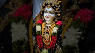 Radha Sahastra Naam Yatra by Shradheya Mridul Krishan Goswami Ji &amp; Shradheya Gaurav Krishan Goswami.