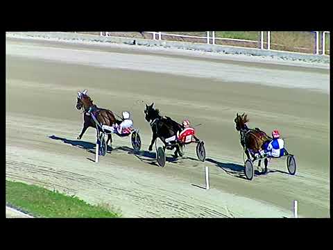 Napoli Trotto 31/12/2021 - prova di qualifica