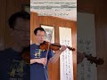 Beethoven Symphony No. 9 3rd movement. First violin excerpt