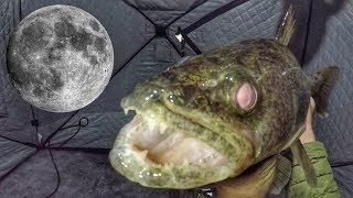 Ice Fishing Full Moon Walleye