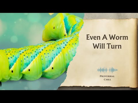 Even A Worm Will Turn