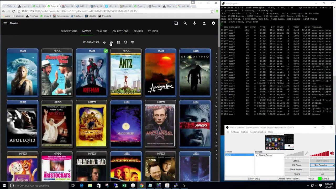 Emby CoverArt Plugin Browser Speed