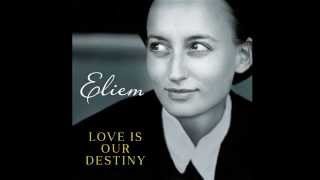 Love Is Our Destiny by Eliem